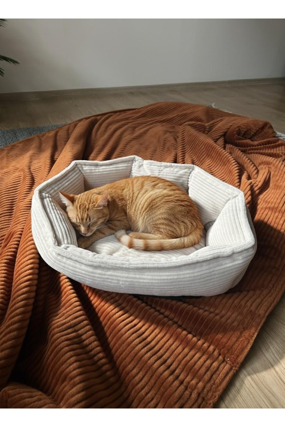 Kedi Köpek Yatağı Fitilli Kadife Boncuk Elyaf Dolgulu Kaymaz Tabanlı Yıkanabilir 40x45 - Antrasit